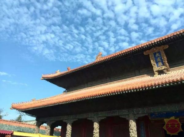 山东探秘,小巷深处的独特风味之旅