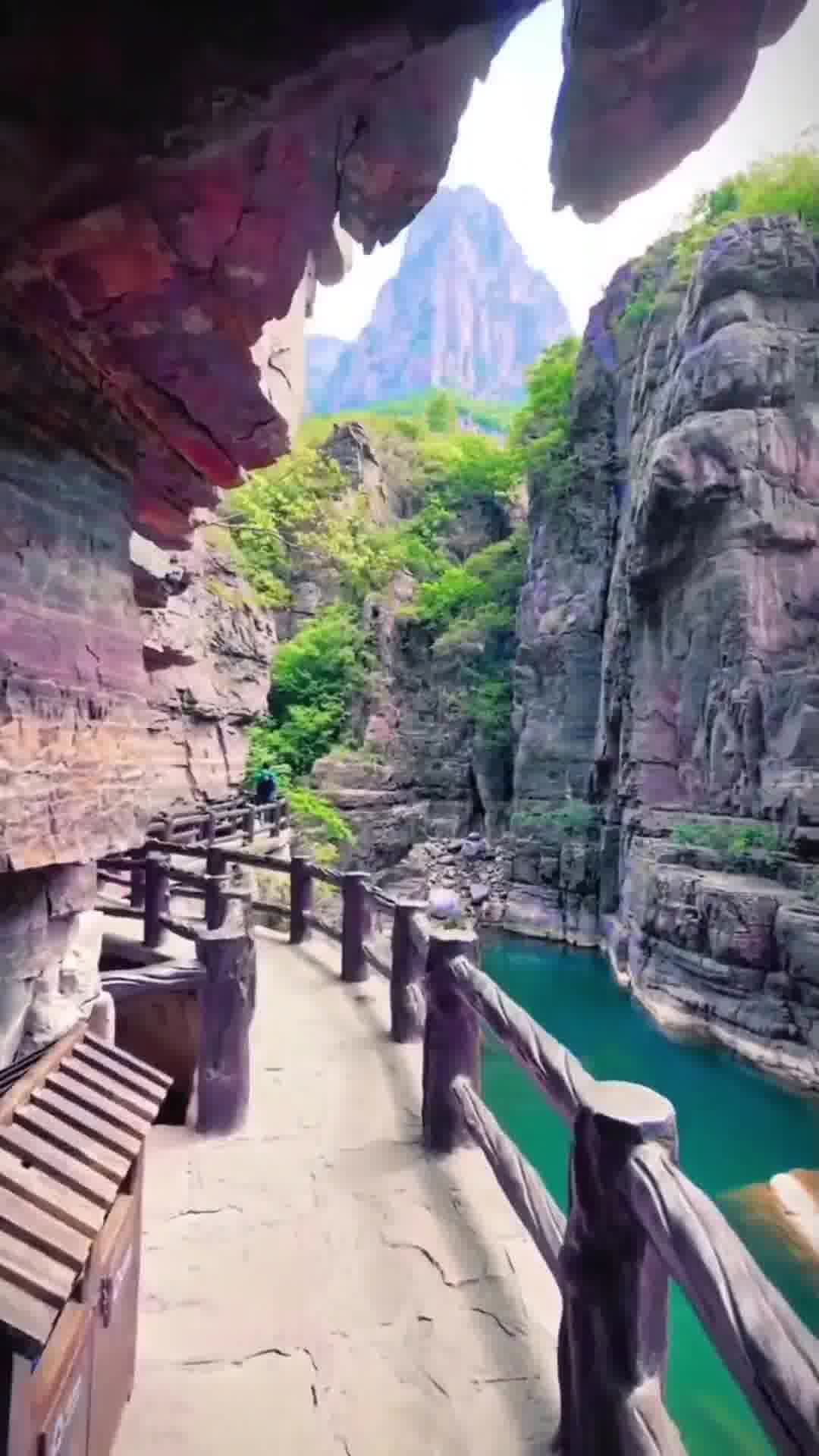 河南小巷中的秘密美食天堂,探访一家特色小店的独特魅力